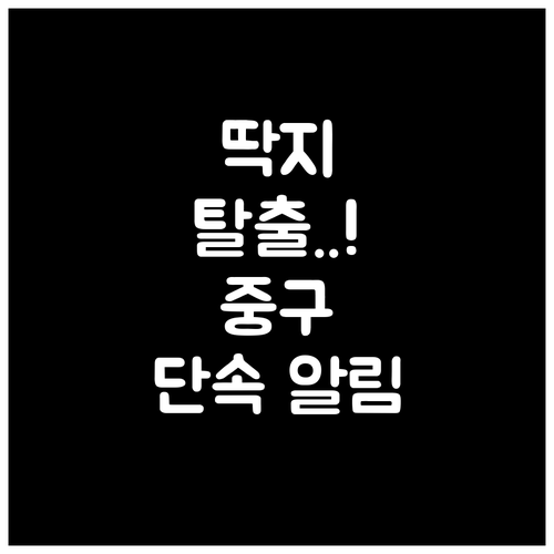 울산 중구 주정차 단속 문자 알림 신..