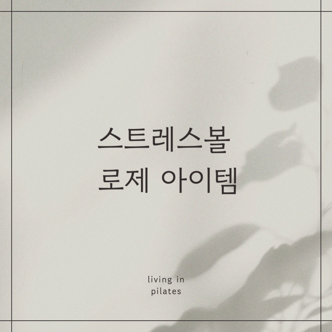 스트레스볼 로제 아이템