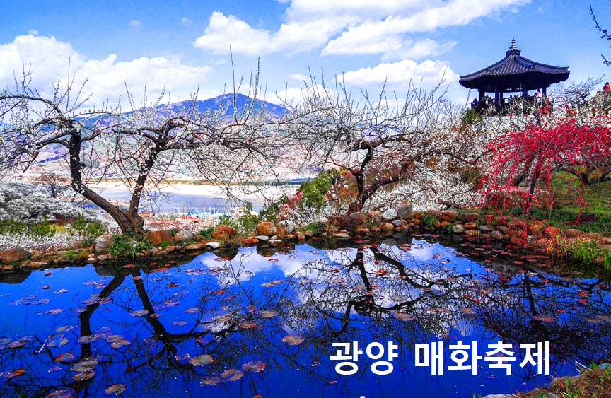 광양 매화축제