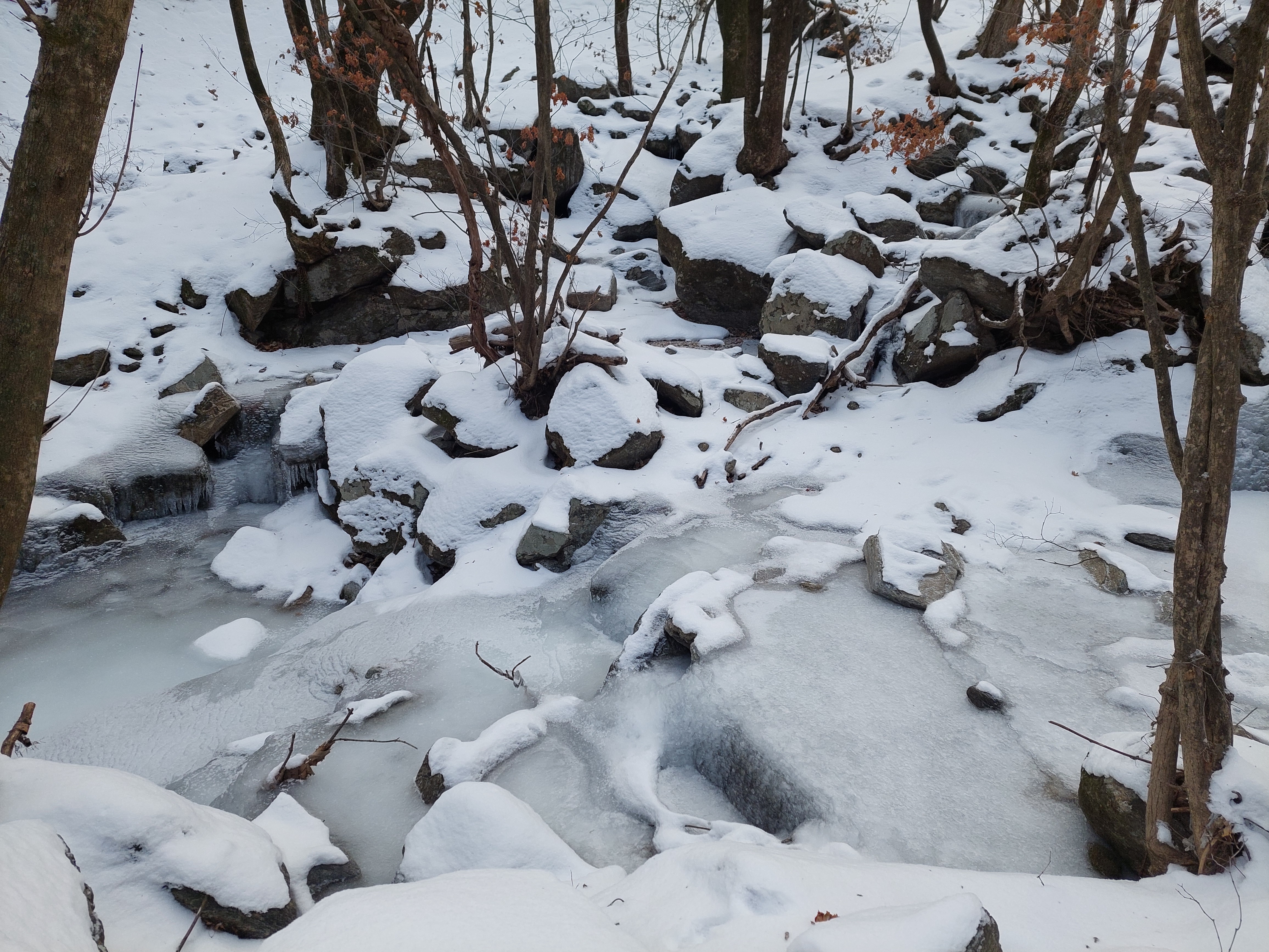 유명산