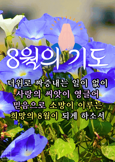 8월의 기도 이미지