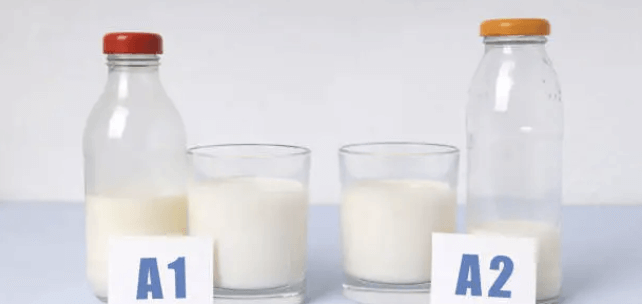 우유 속 당과 유당불내증&amp;#44; A2우유의 차이점과 종류! 내게 맞는 우유는? 