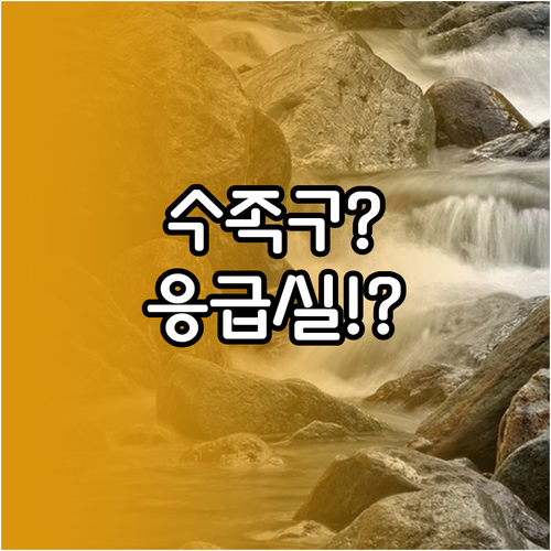 수족구 합병증 증상과 응급실 가야 하..