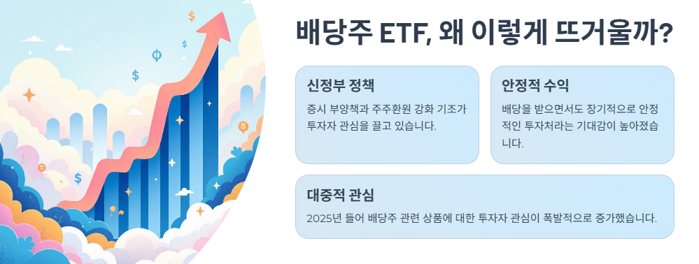 배당주 ETF, 왜 이렇게 뜨거울까?