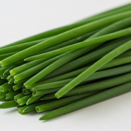 부추 요리 추천 재료