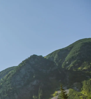 산지 전용과 산지전용 허가 기준