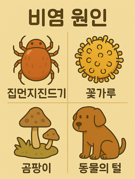 비염 원인 집먼지진드기, 동물의 털, 곰팡이, 꽃가루 사진