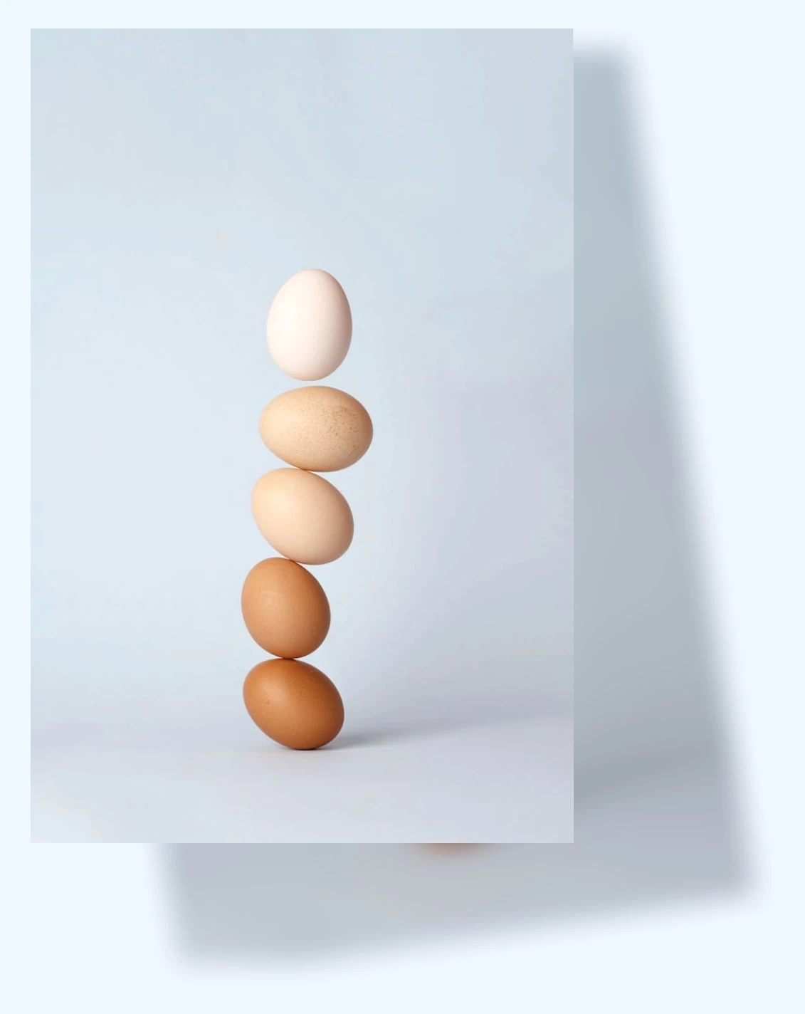 호르몬 균형_1_subsection