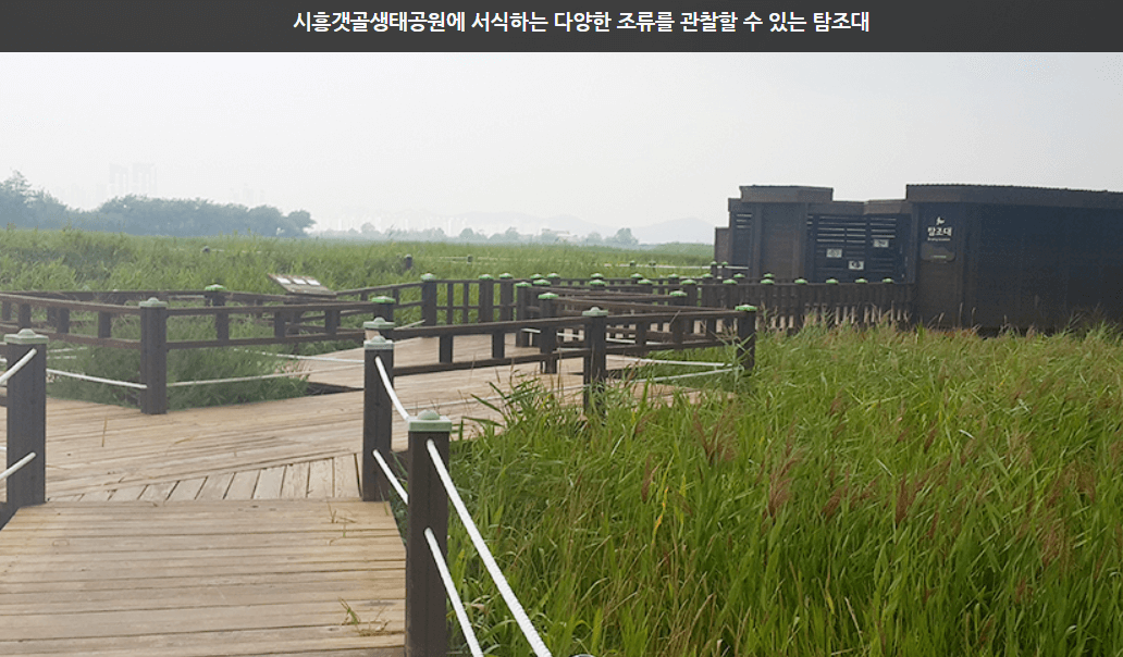 가을여행지 시흥시 갯골공원