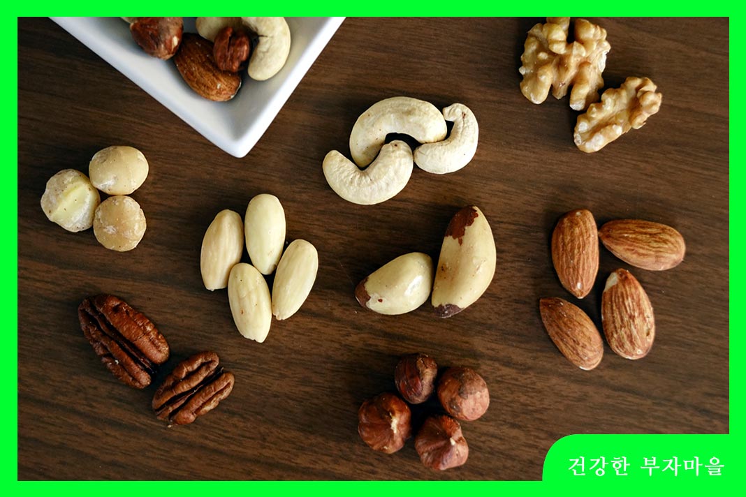 고지혈증에 좋은 음식 - 견과류