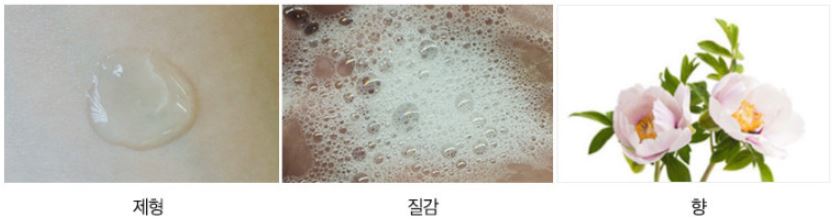 반코르-맥주효모-샴푸-특징