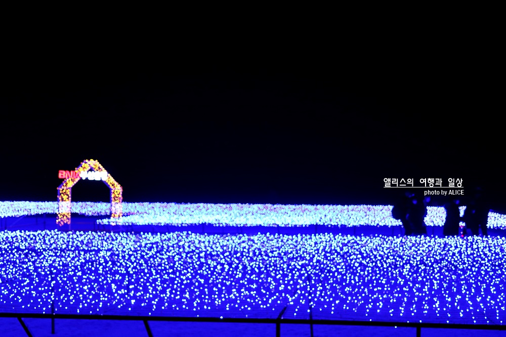 제8회 해운대 빛축제 - 해운대 백사장에 펼쳐지는 아름다운 빛의 물결 (반드시 알아두어야 할 입장정보, 백신접종증명서)