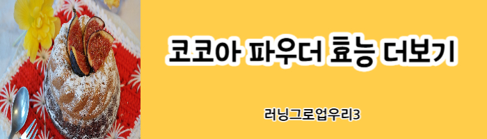 코코아-파우더-효능-더보기