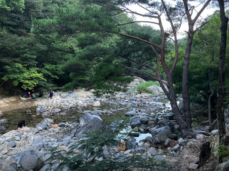내원사계곡