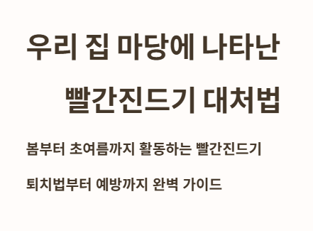 우리 집 마당에 나타난 빨간진드기 대처법