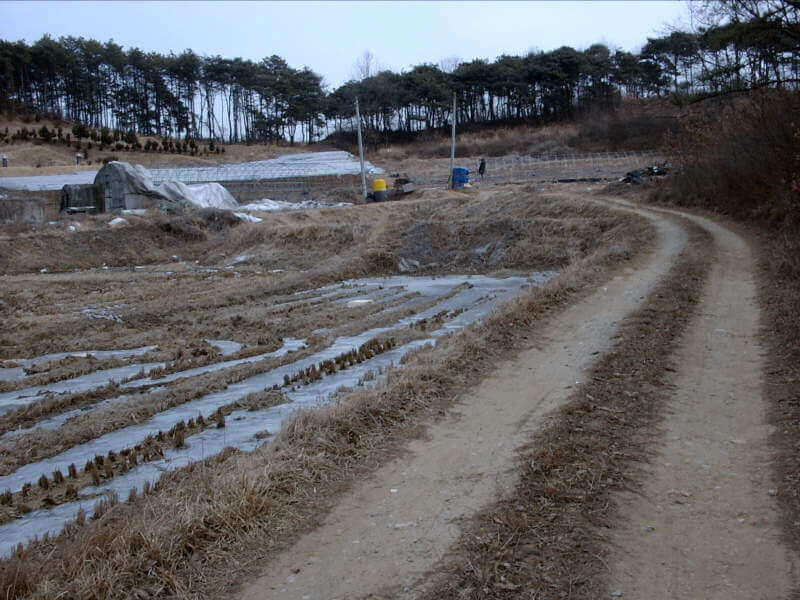 조상땅찾기