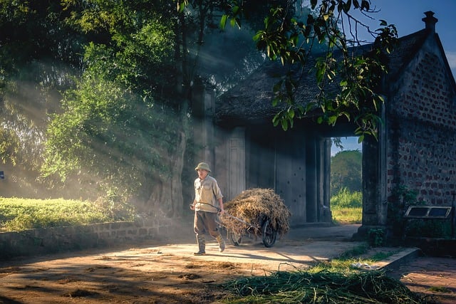 50대 자격증 추천 도시농업관리사