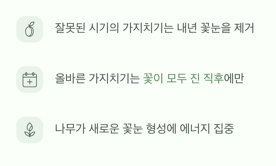 성급한 가위질, 내년의 희망을 자르다