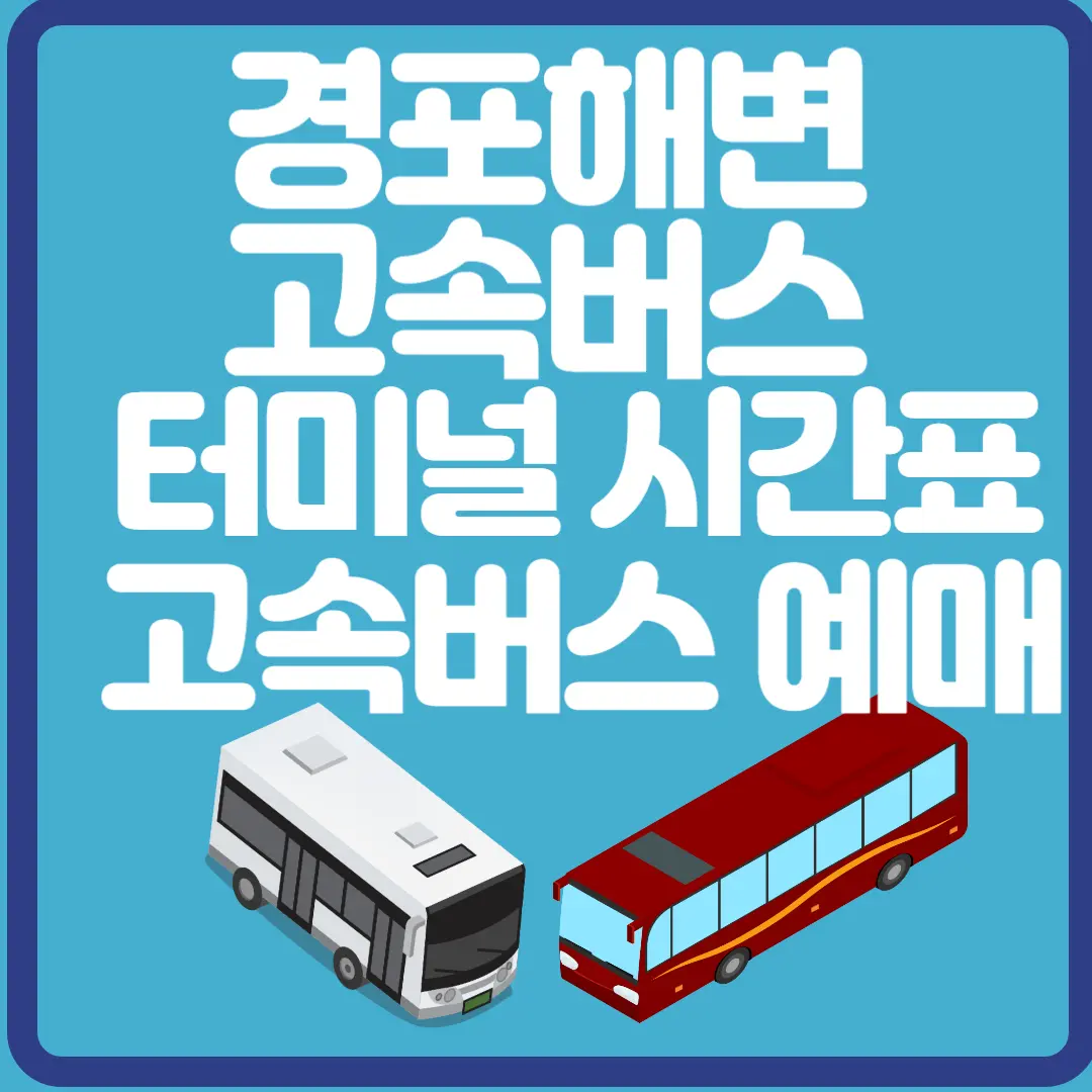 경포해변 고속버스 터미널 시간표 고속버스 예매