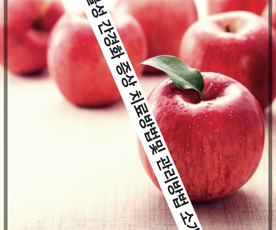 알콜성 간경화 증상 치료방법및 관리방법 소개