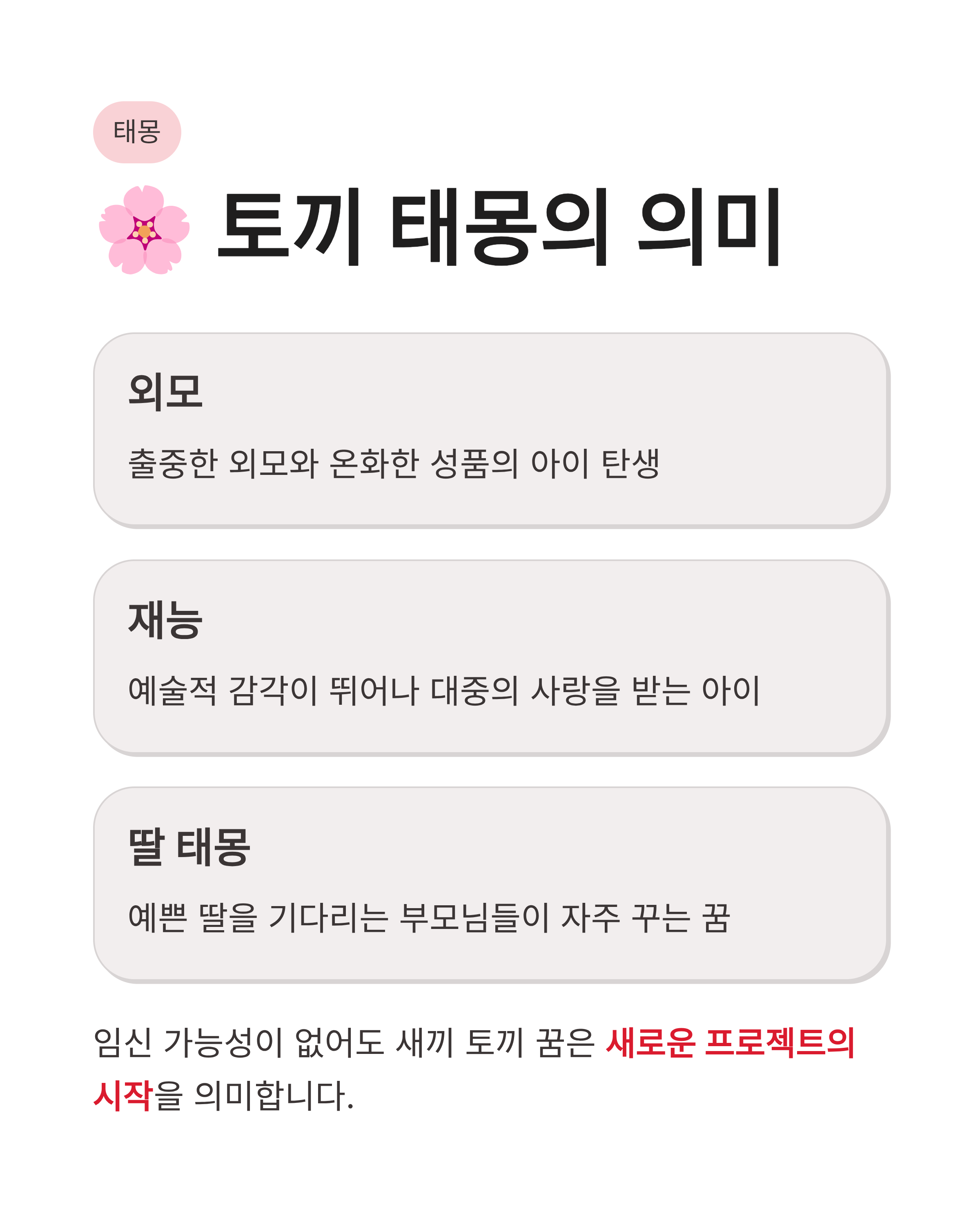 토끼꿈 해몽 흰 토끼 잡는 꿈 새끼 토끼 태몽까지! 복이 껑충 들어오는 대박 징조 총정리