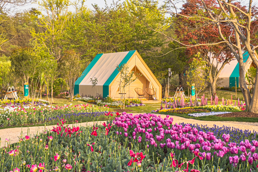 순천만 국가정원 입장료