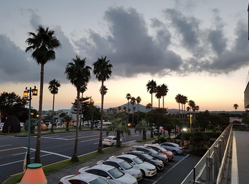 인천공항버스 티머니 고속버스 리무진 시간표 예매 방법 총정리