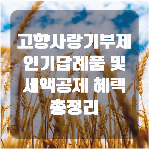 고향사랑기부제 인기 답례품, 세액공제 혜택 총정리