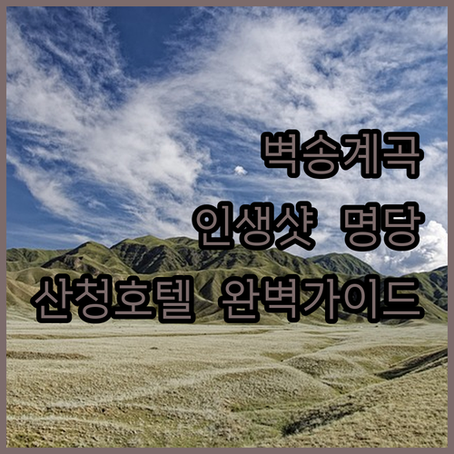 함양 벽송계곡 사진 잘 나오는 각도와..