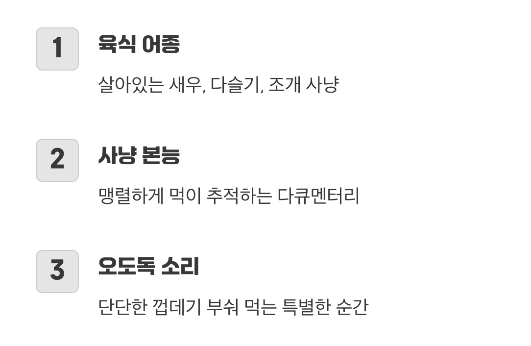 살아있는 간식을 사냥하는 즐거움