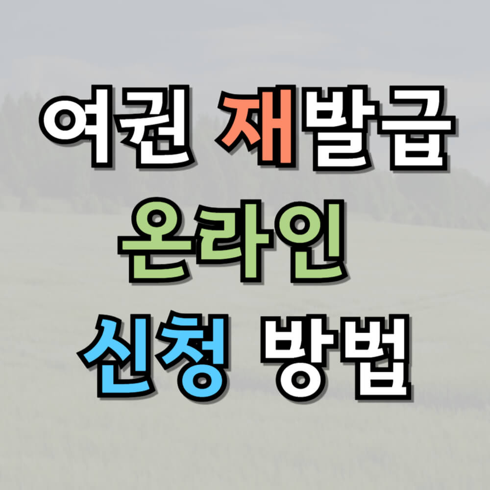 2025년 여권 재발급 온라인 신청 방법