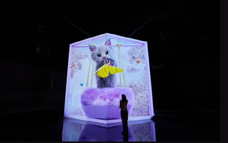 파주 뮤지엄헤이