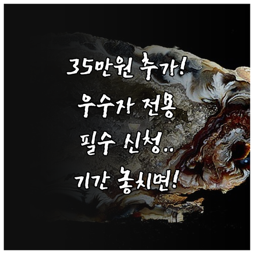 2025년 서울시 장애인 이용권 우수..