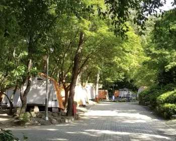 서울대공원 캠핑장 예약_24
