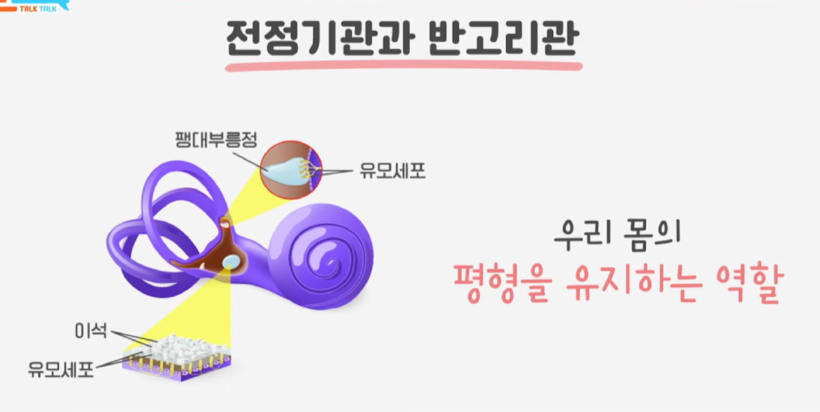 반복되는-어지럼증-방치하면-평생간다