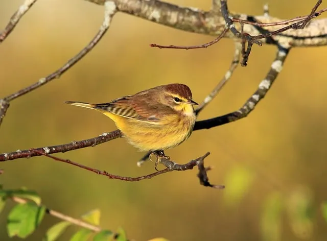 종려주일 대표기도문 모음_3