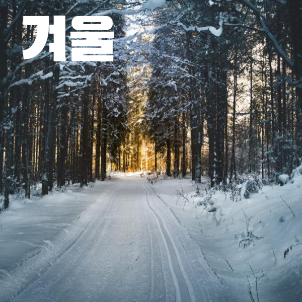 겨울 날씨의 특징