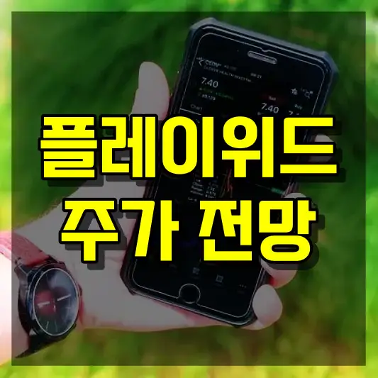 플레이위드 주가 전망