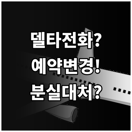 델타항공 예약 변경 및 수하물 분실 ..