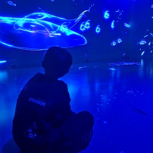 국립제주박물관 실감영상실