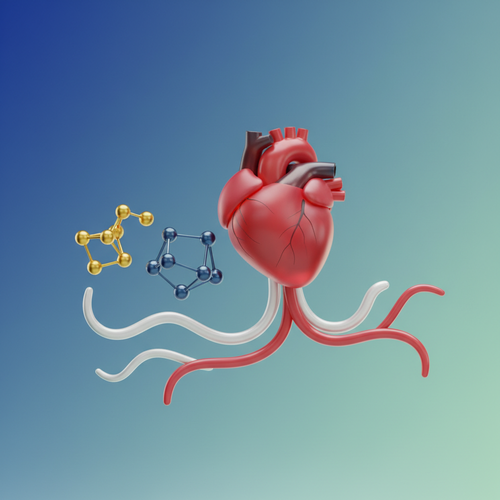 혈관 건강과 심장 보호&amp;#44; 콜레스테롤 관리