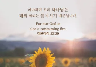 히브리서 4장 16절 묵상 - 그러므로 우리는 긍휼하심을 받고 때를 따라 돕는 은혜를 얻기 위하여_23