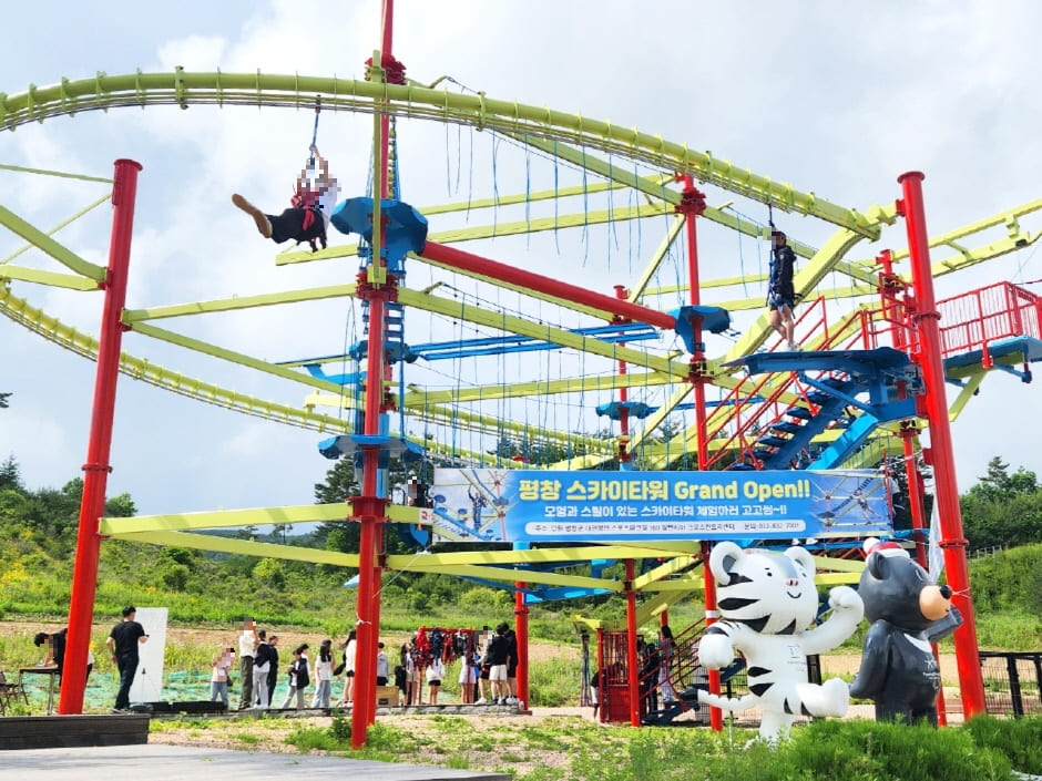 평창짚라인 체험 평창여행