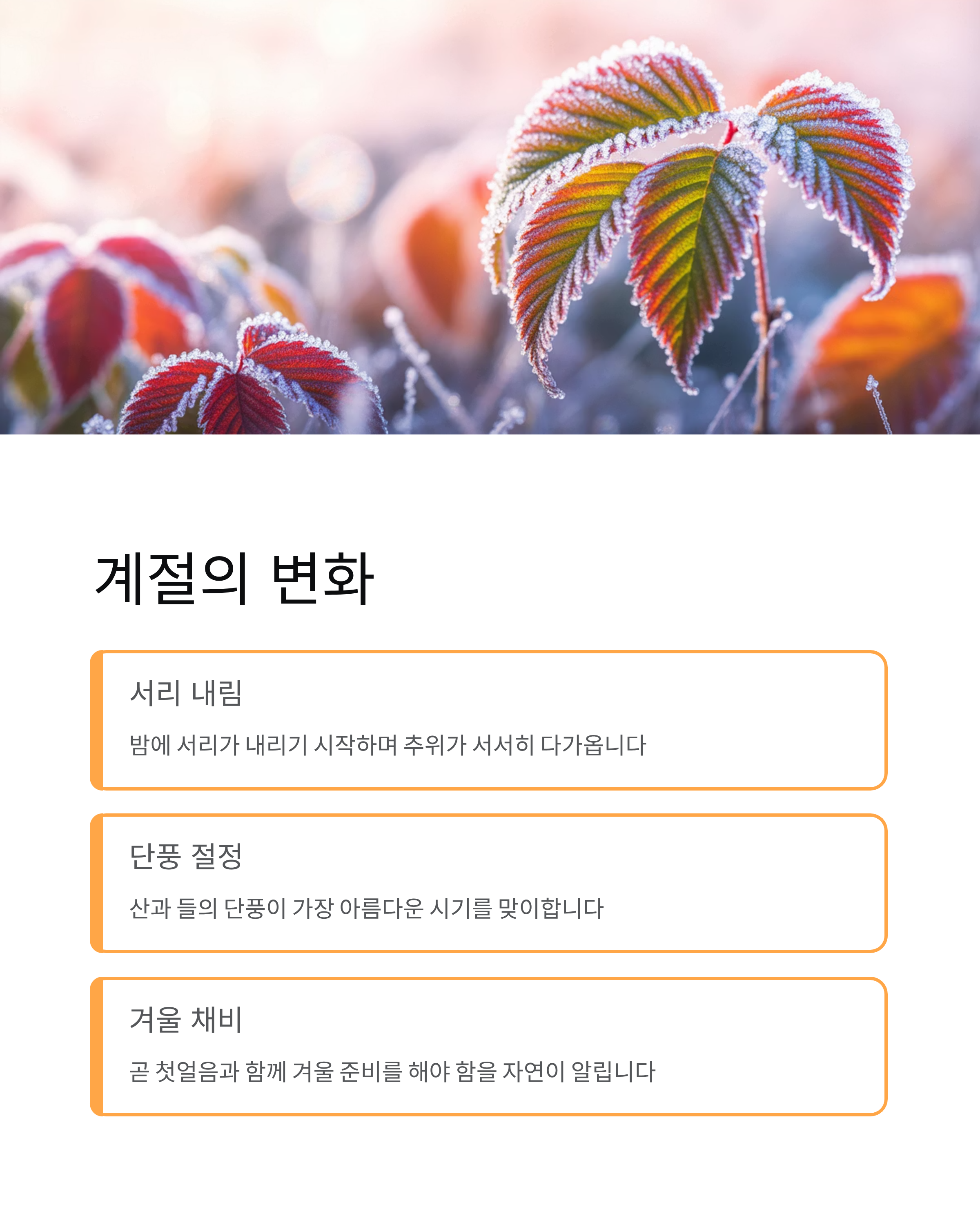 상강 뜻 완벽 정리! 날짜부터 풍습까지 24절기 가이드