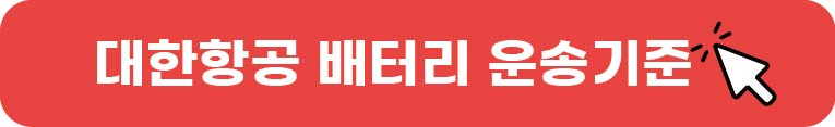 비행기 보조배터리