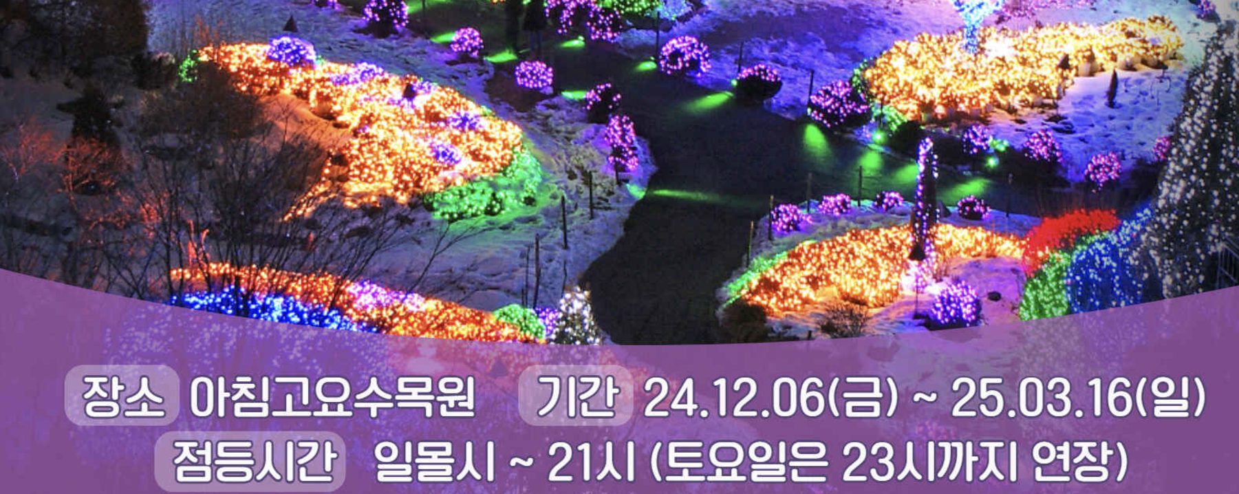 12월 축제