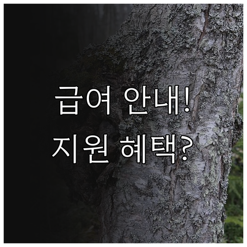 맞춤형 급여 안내 복지멤버십 가입 방..