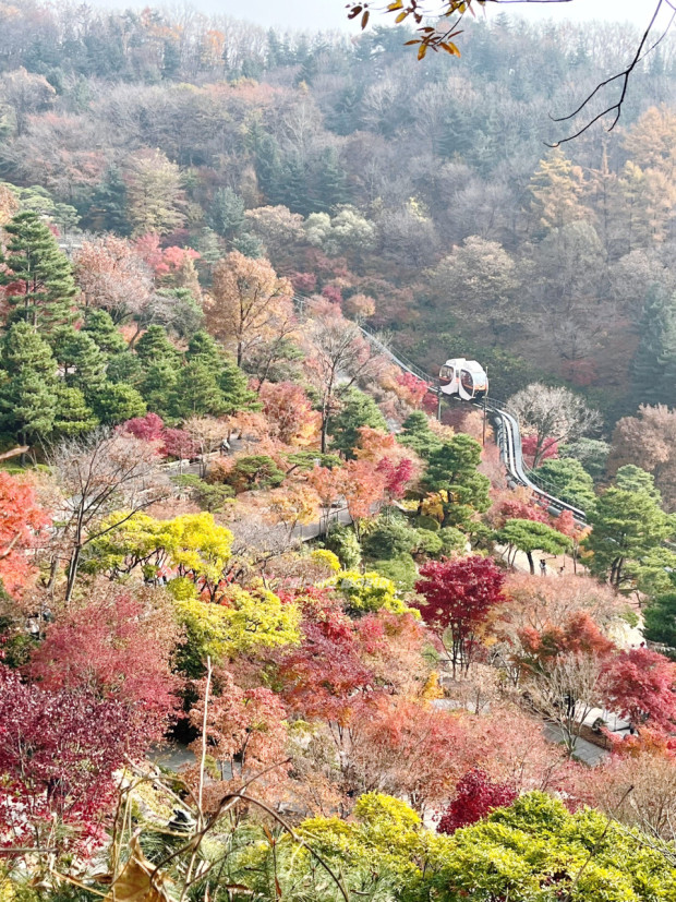 화담숲예약하기