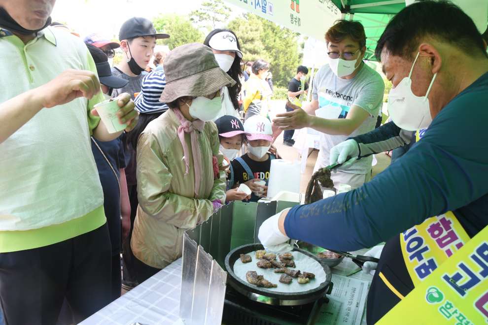 함평나비대축제