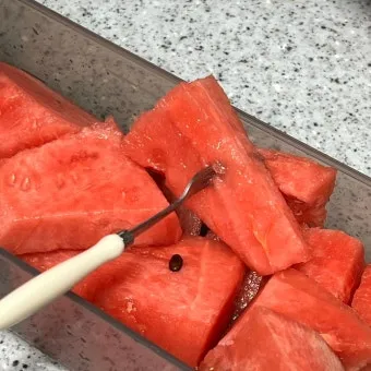 대구 수박껍질 음식물 일반쓰레기 과태료 피하는 법_4